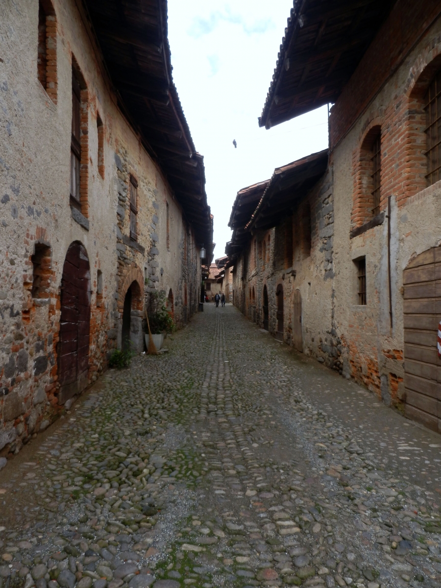 P6050339